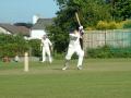 Bugle Cricket Club image 2