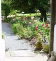 Buncton Manor Farm B&B image 10