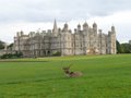 Burghley House image 7