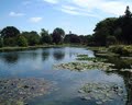 Burnby Hall Gardens image 10