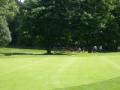 Bushey Hall Golf Club Hertfordshire image 5