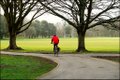 Bute Park logo