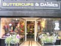 Buttercups & Daisies logo