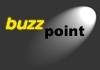 BuzzPoint Web Design Consultancy logo