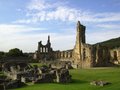 Byland Abbey image 2