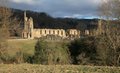 Byland Abbey image 8