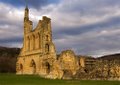 Byland Abbey image 9