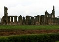 Byland Abbey logo