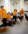 CDPOM World dog day-care creche, overnight boarding centre image 2