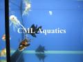 CML Aquatics image 9