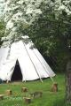 CORNISH TIPI HOLIDAYS image 4