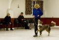 CaDeLac Dog and Puppy Training image 2