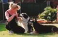 CaDeLac Dog and Puppy Training image 1