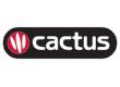 Cactus Language Courses Birmingham logo