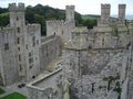 Caernarfon Castle image 7