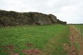 Caerwent image 2