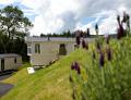Caerwys View Holiday Park image 3