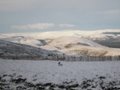 CairnGorm Mountain (Ski Area, Mountain Railway, Restaurant) image 2