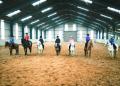 Caistor Equestrian Centre image 2