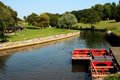 Calbourne Water Mill logo