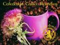 Caledonia Coffee Roasters logo