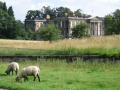 Calke Abbey image 4