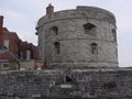 Calshot Castle image 2