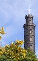 Calton Hill image 6