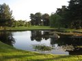 Camberley Heath Golf Club logo