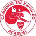 Camborne Tae Kwon-Do Academy image 5