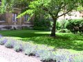Cambridge image 9