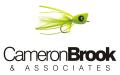 Cameron Brook & Associates Ltd logo