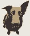 Canine Adventures logo
