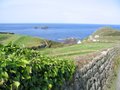 Cape Cornwall Golf Club image 5