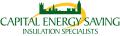 Capital Energy Saving Ltd logo