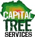 Capital Tree Services logo