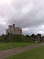 Cardiff Castle image 4