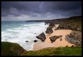 Carnewas & Bedruthan Steps logo