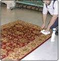 Carpet Cleaners (NCCA approved), Odour, Urine and Stain removal. logo