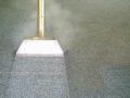 Carpet Cleaning Billericay CM12 image 3