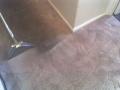Carpet Cleaning Billericay CM12 image 1