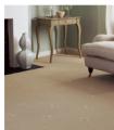 Carpet Cleaning Services Devon EX2 image 2