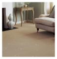 Carpet Cleaning Services Devon EX2 image 4