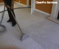 Carpet Cleaning WELWYN image 3