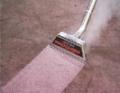 Carpet and Upholstery Care image 4