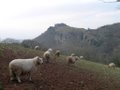 Carreg Cennen Castle image 2