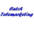 Catch Telemarketing image 3