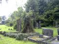 Cathays Cemetery image 4