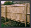 Cathedral Landscape and Fencing image 2