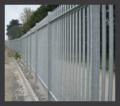 Cathedral Landscape and Fencing image 3